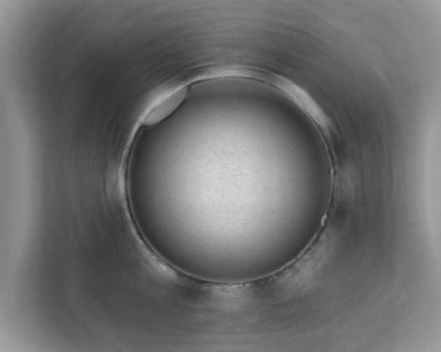 X0000111890813200907301156