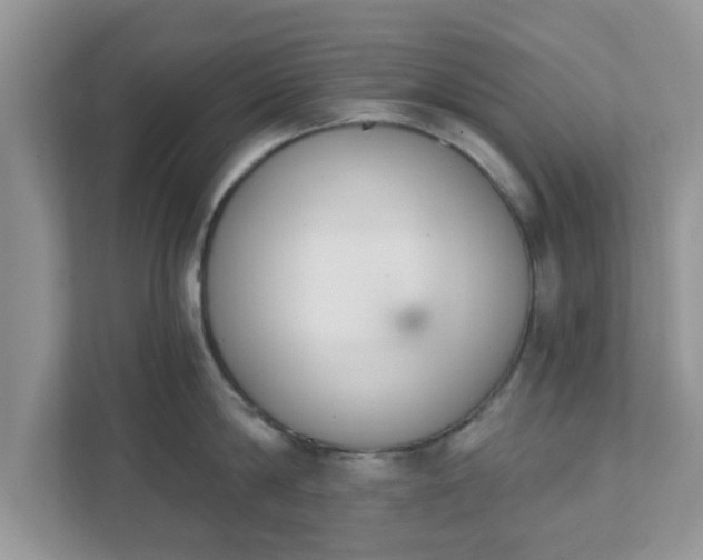 X0000111890814200907301156