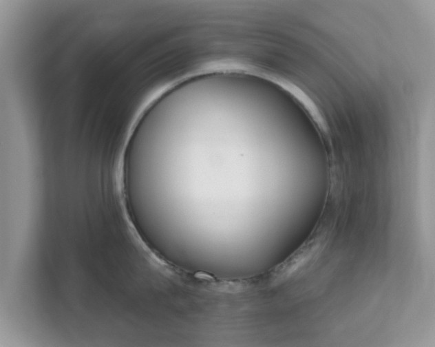 X0000111890815200907301156