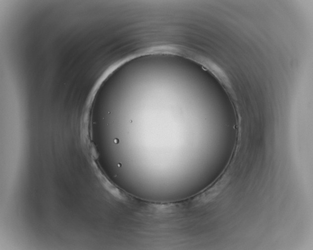 X0000111890816200907301156