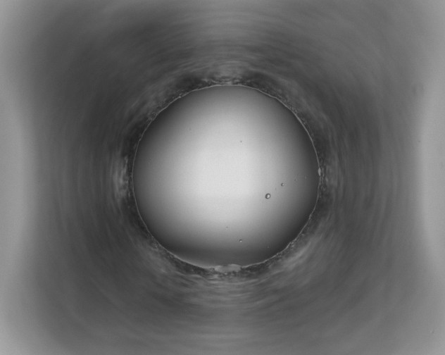 X0000111890818200907301155