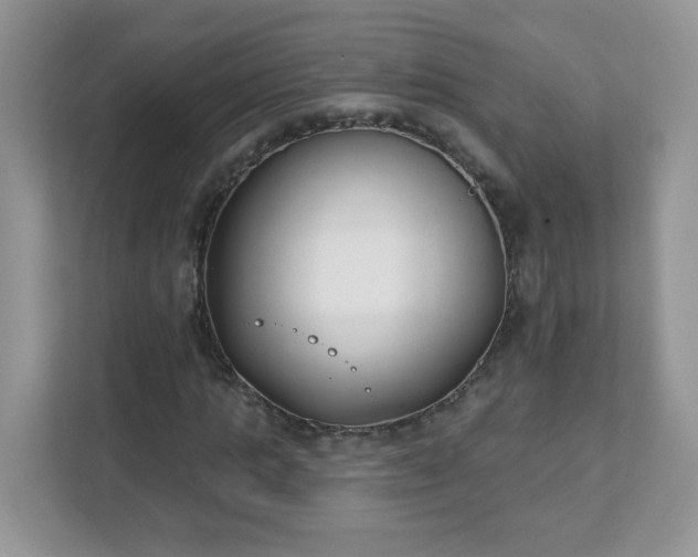 X0000111890821200907301155