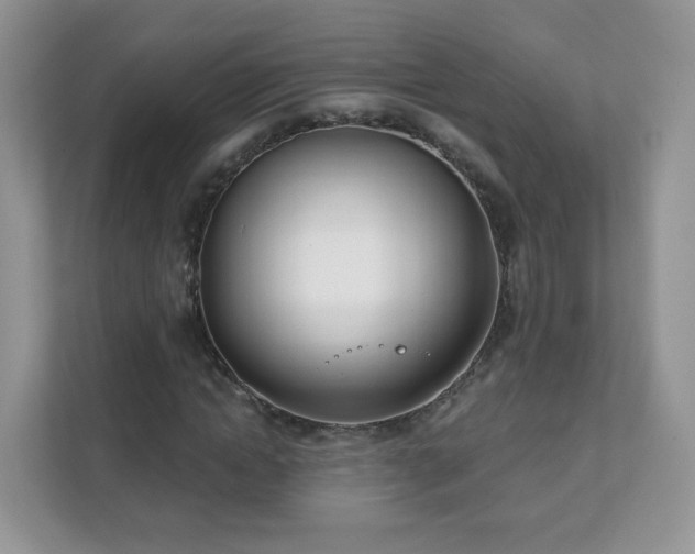 X0000111890822200907301155