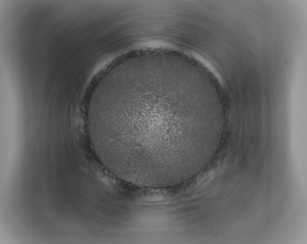 X0000111890823200907301155