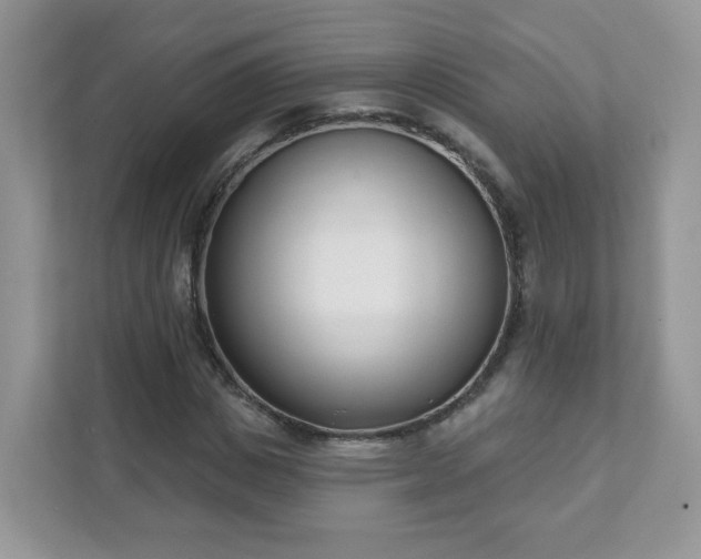 X0000111890825200907301156