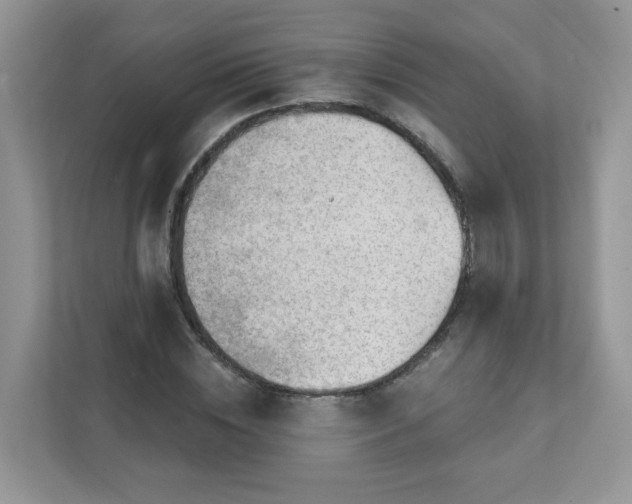 X0000111890828200907301156