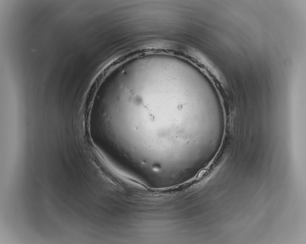 X0000111890829200907301156