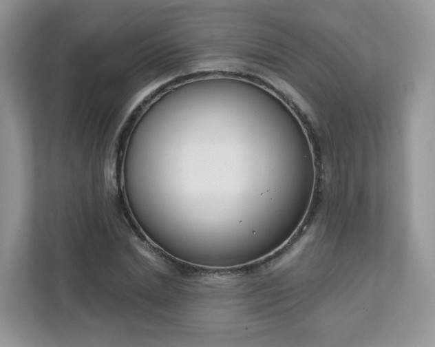 X0000111890830200907301156