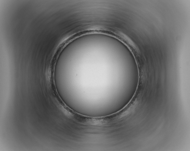 X0000111890831200907301156