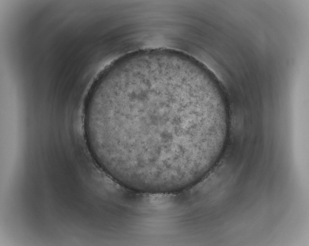 X0000111890832200907301156