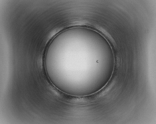 X0000111890834200907301156