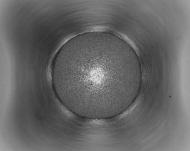 X0000111890835200907301156