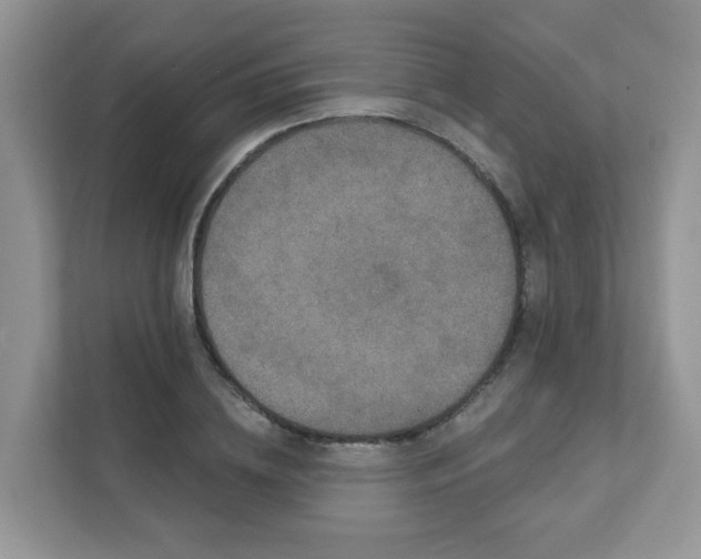 X0000111890836200907301156