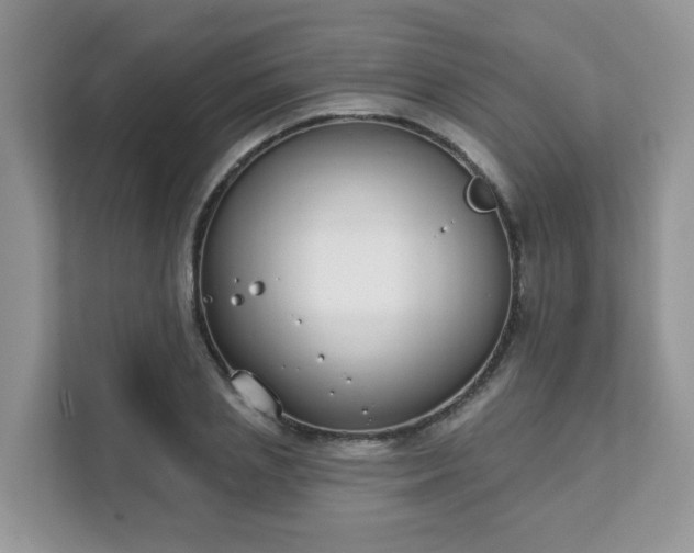 X0000111890837200907301156