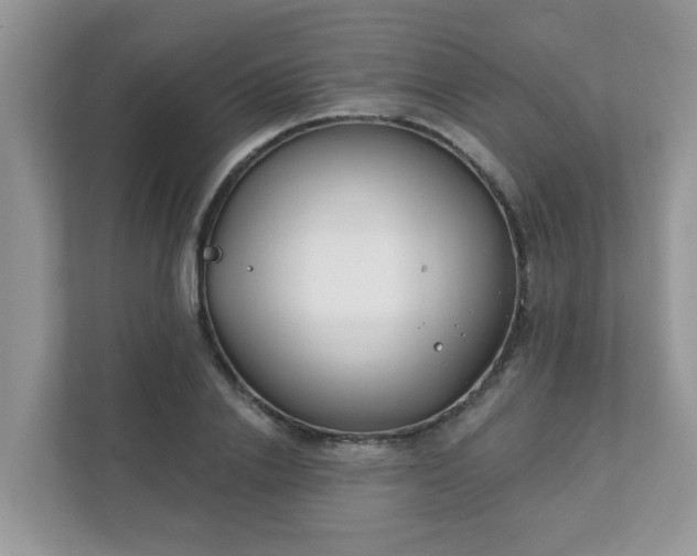 X0000111890838200907301156