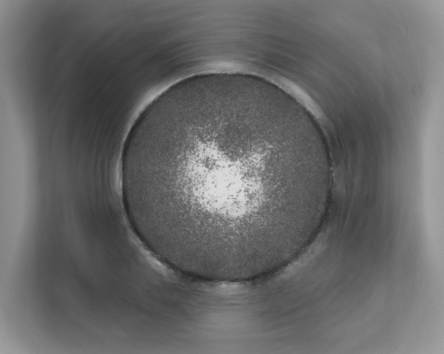 X0000111890839200907301156