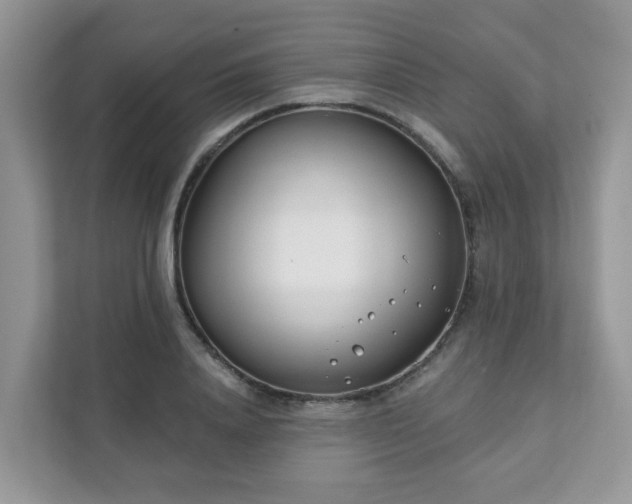 X0000111890840200907301156