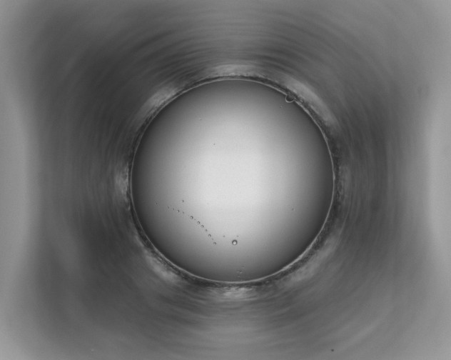 X0000111890841200907301156