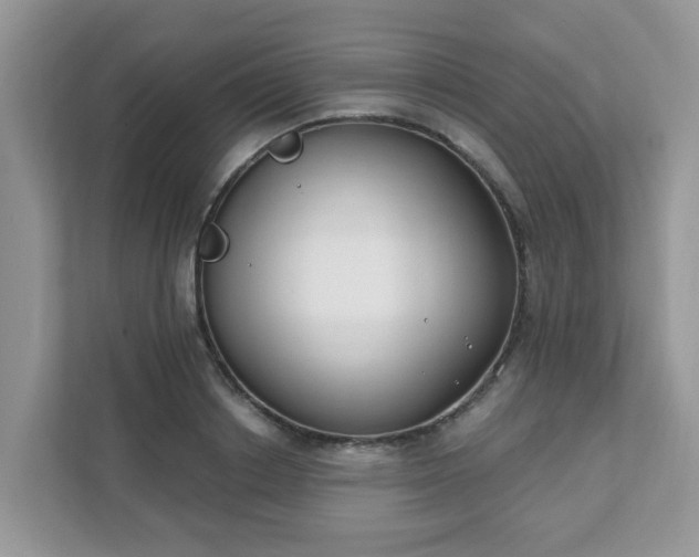 X0000111890842200907301156