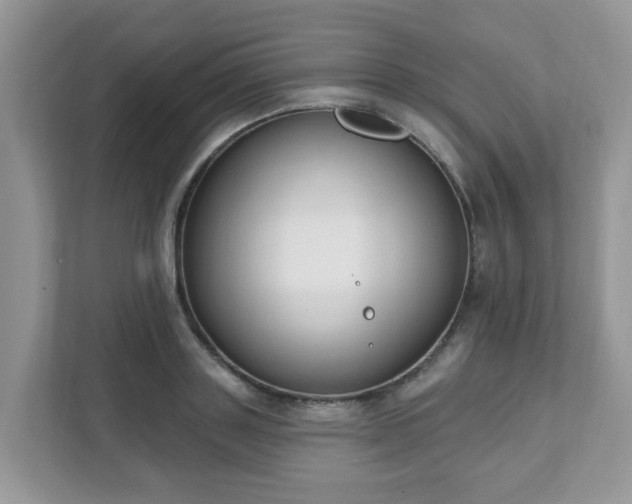 X0000111890843200907301156