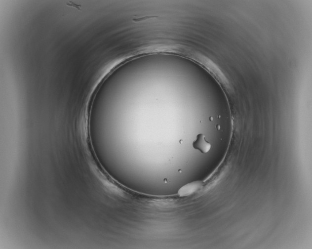 X0000111890844200907301156