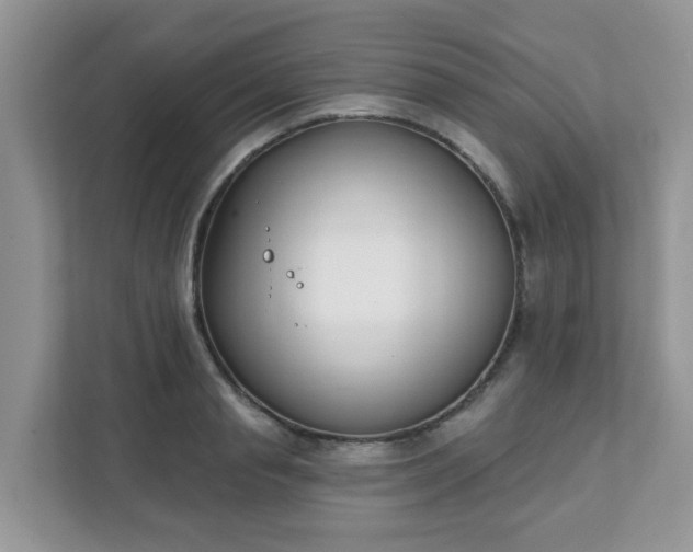 X0000111890845200907301156