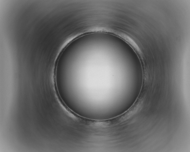 X0000111890847200907301156