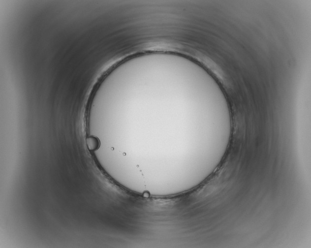 X0000111890848200907301156