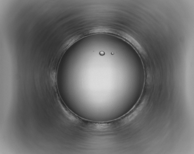 X0000111890849200907301156