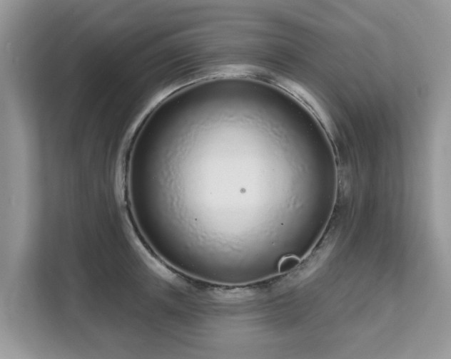 X0000111890851200907301156