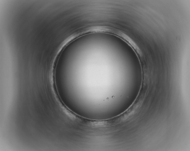 X0000111890853200907301156