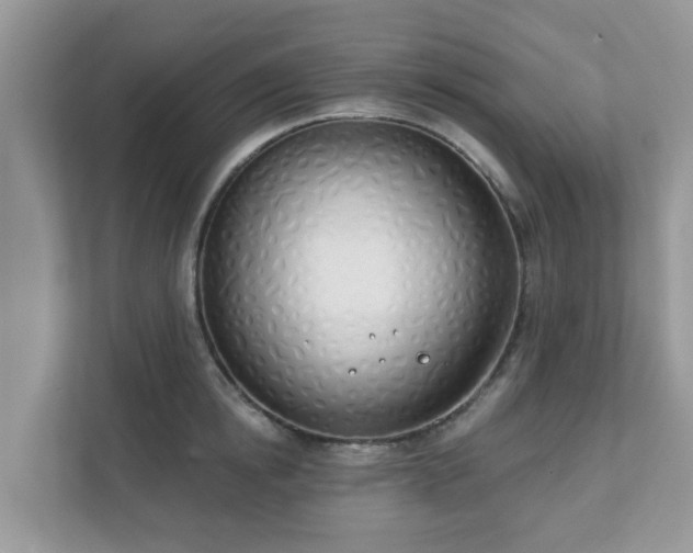 X0000111890854200907301156