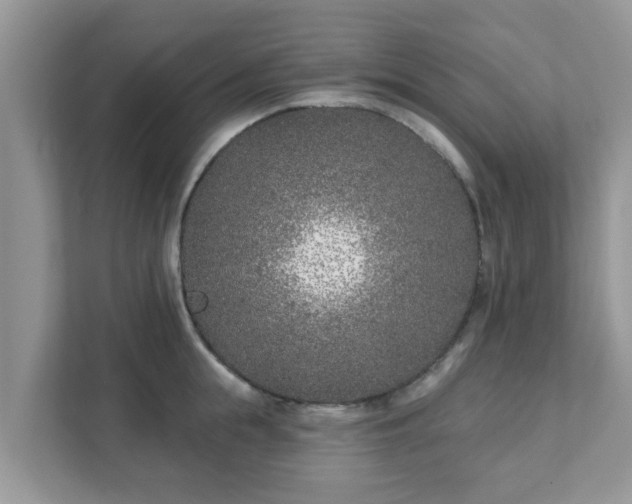 X0000111890855200907301156