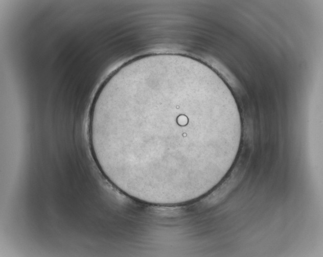 X0000111890856200907301156