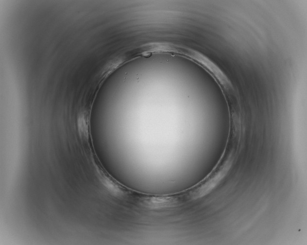 X0000111890857200907301156