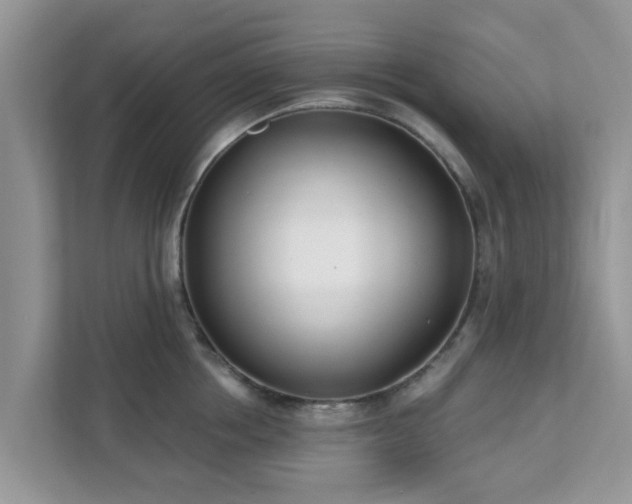 X0000111890858200907301156