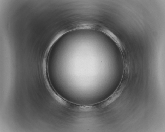 X0000111890859200907301156