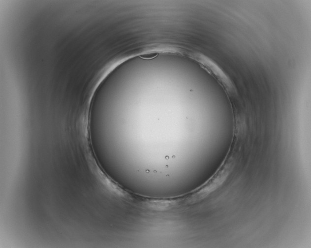 X0000111890860200907301156