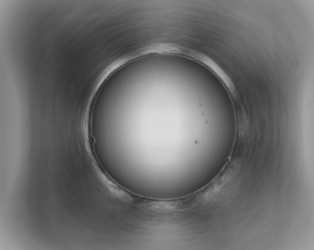 X0000111890861200907301156