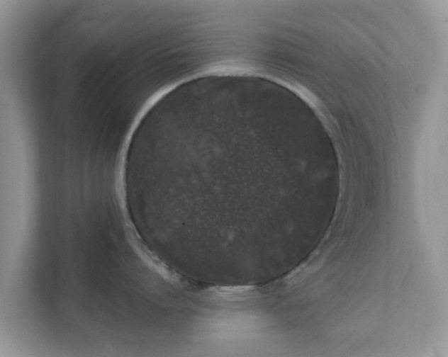 X0000111890864200907301156