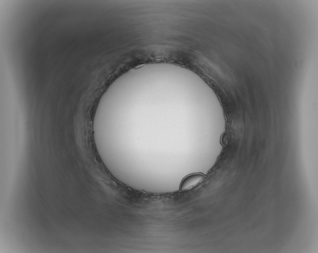 X0000111890865200907301155