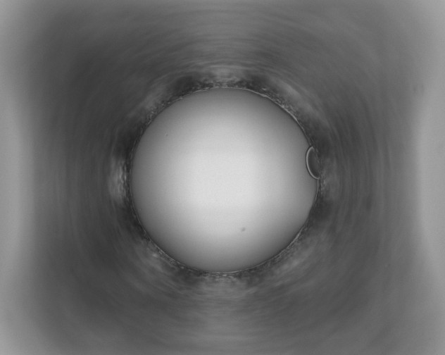 X0000111890866200907301155