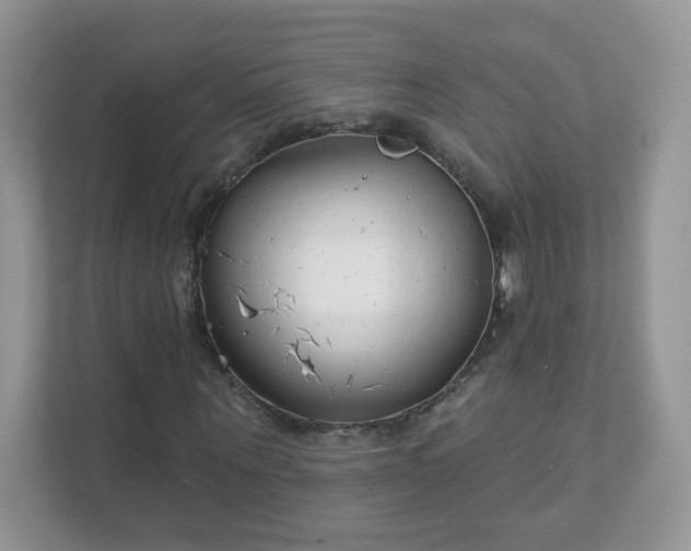 X0000111890867200907301155