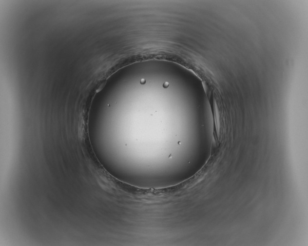 X0000111890868200907301155