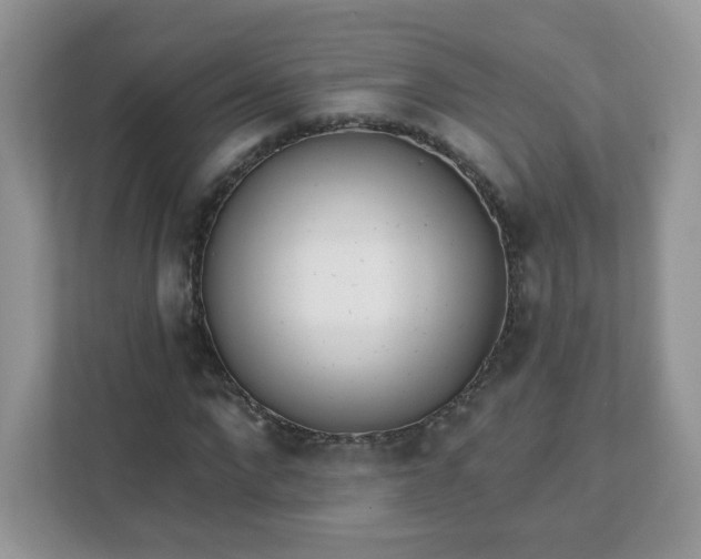 X0000111890872200907301155