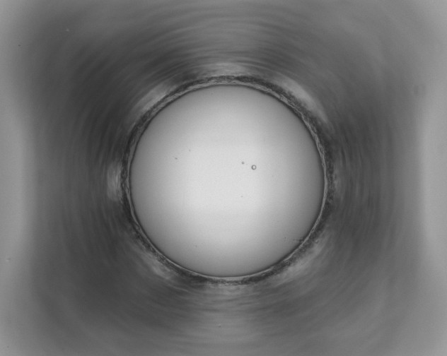 X0000111890873200907301155