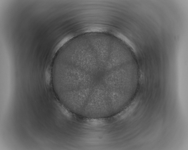 X0000111890874200907301155