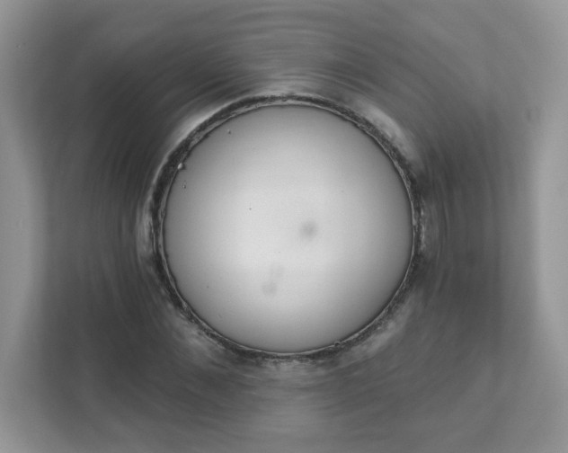 X0000111890876200907301155