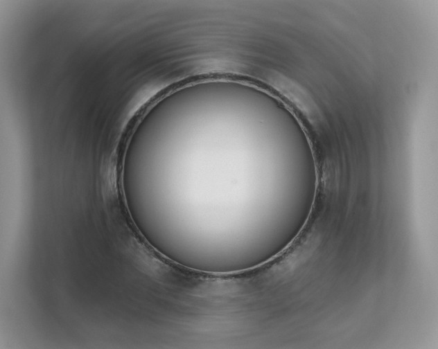 X0000111890877200907301155