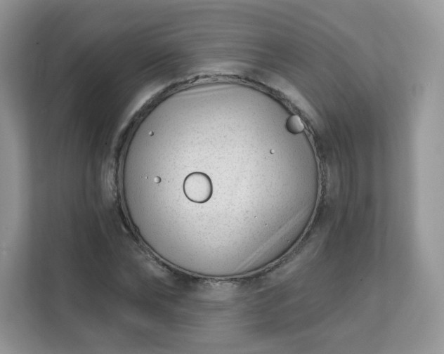 X0000111890878200907301155